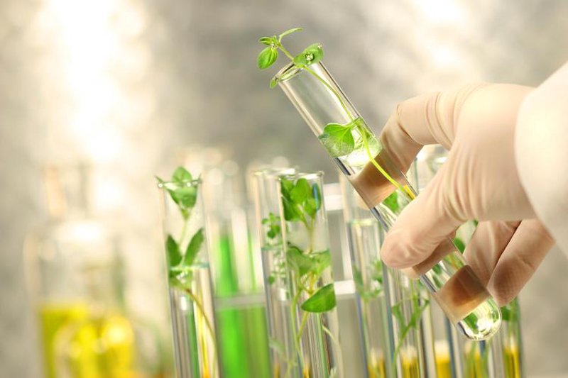 湖南生物科技行业的最新发展动态