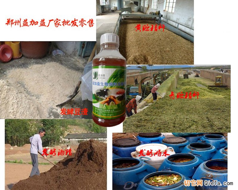 植物发酵