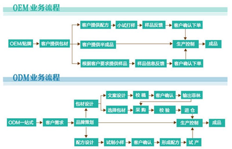 娇宠文化:在快节奏生活中寻得温暖与慰藉